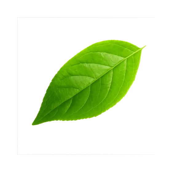 Tasmanian Pepperberry Extract