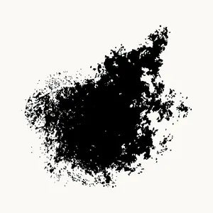 Activated Charcoal