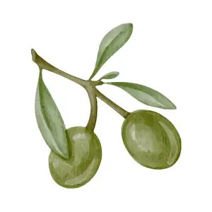 Olive Oil