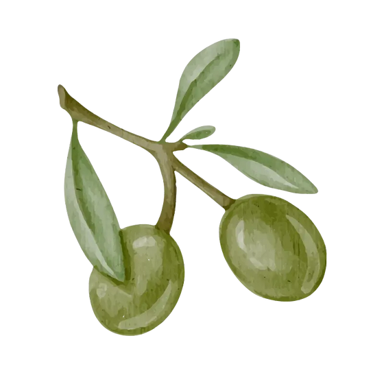 Olive Oil